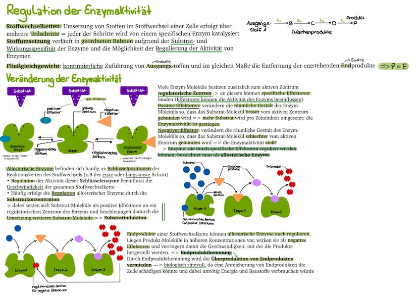 
<p>Der erste Reaktionsschritt findet in einem Multienzym-Komplex statt, der sich an der Inneren Mitochondrienmembran befindet. Dabei wird v