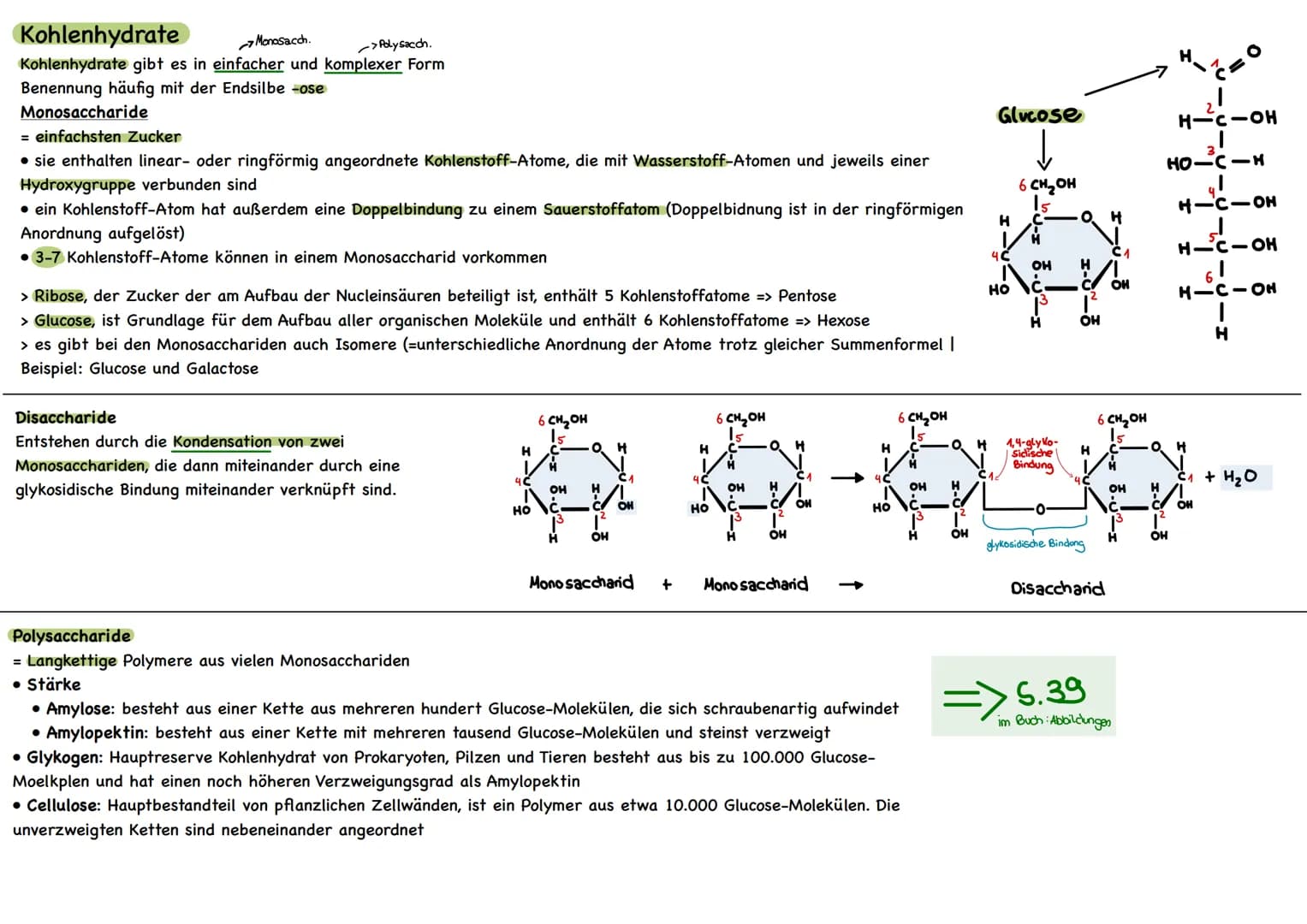 
<p>Der erste Reaktionsschritt findet in einem Multienzym-Komplex statt, der sich an der Inneren Mitochondrienmembran befindet. Dabei wird v