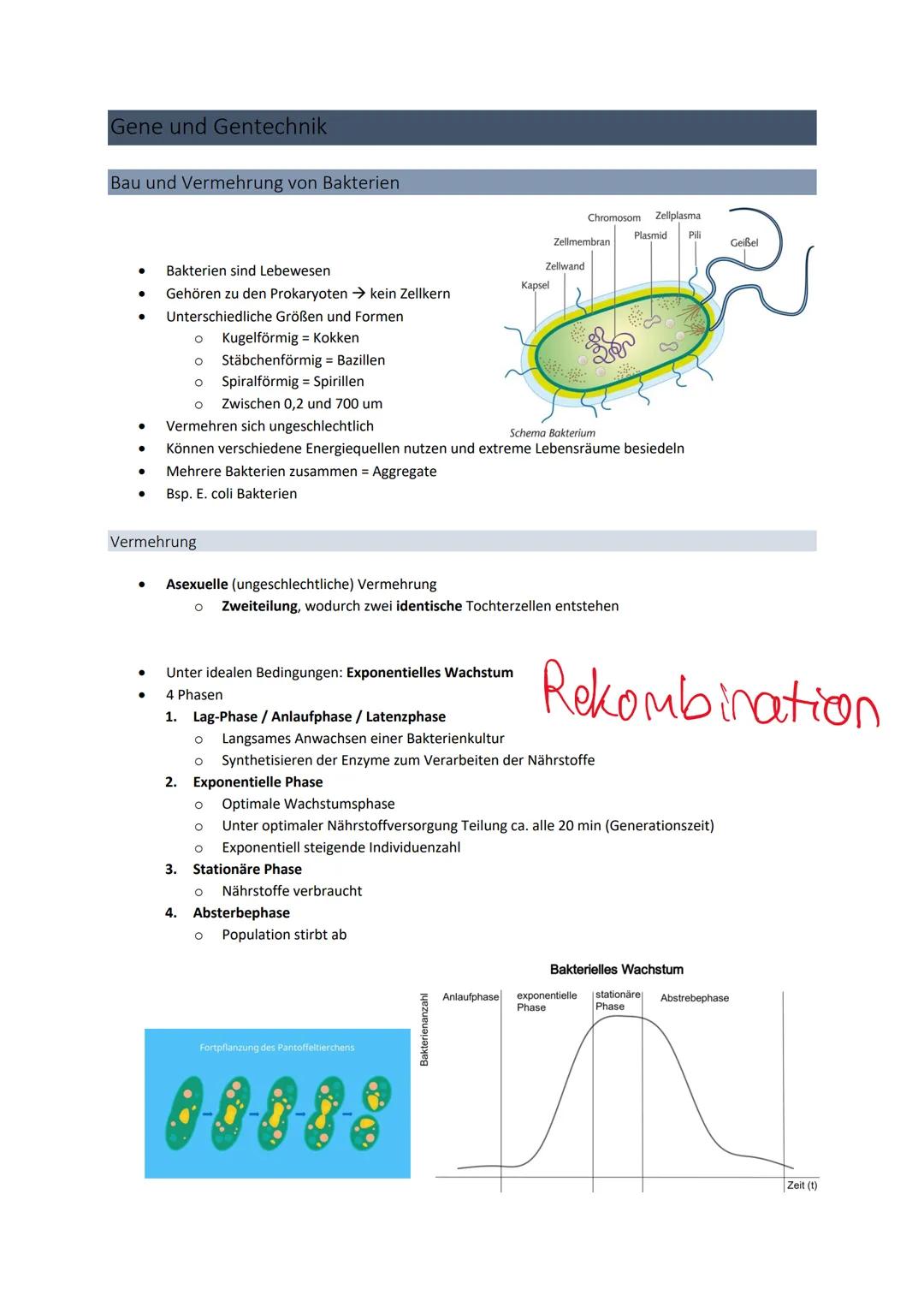 3' 5'
Genetik
Von der DNA zum Protein
Aufbau + Replikation der DNA
Watson - Crick - Modell
●
●
●
DNA → Desoxyribonukleinsäure
●
●
●
DNA-Stru