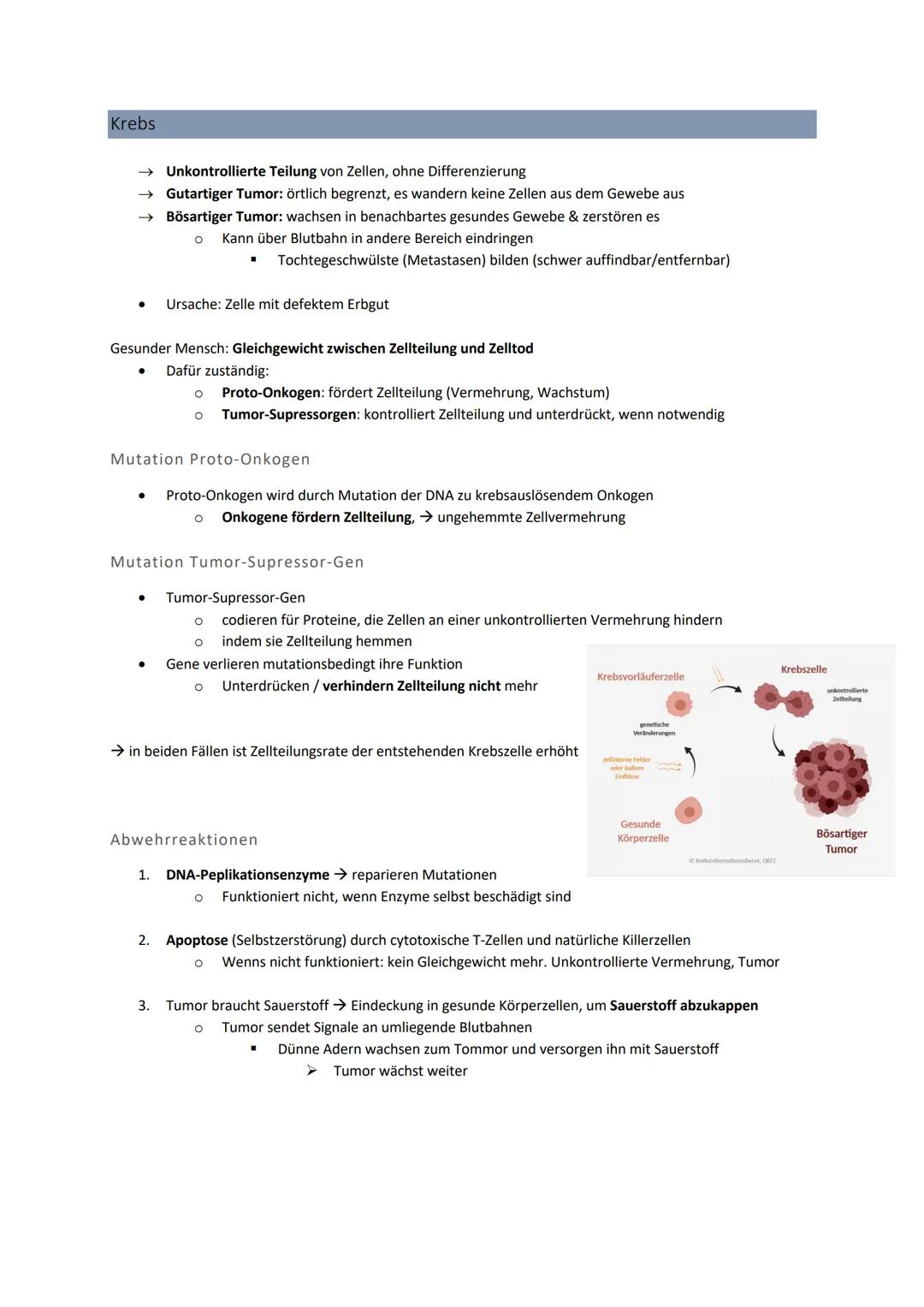 3' 5'
Genetik
Von der DNA zum Protein
Aufbau + Replikation der DNA
Watson - Crick - Modell
●
●
●
DNA → Desoxyribonukleinsäure
●
●
●
DNA-Stru