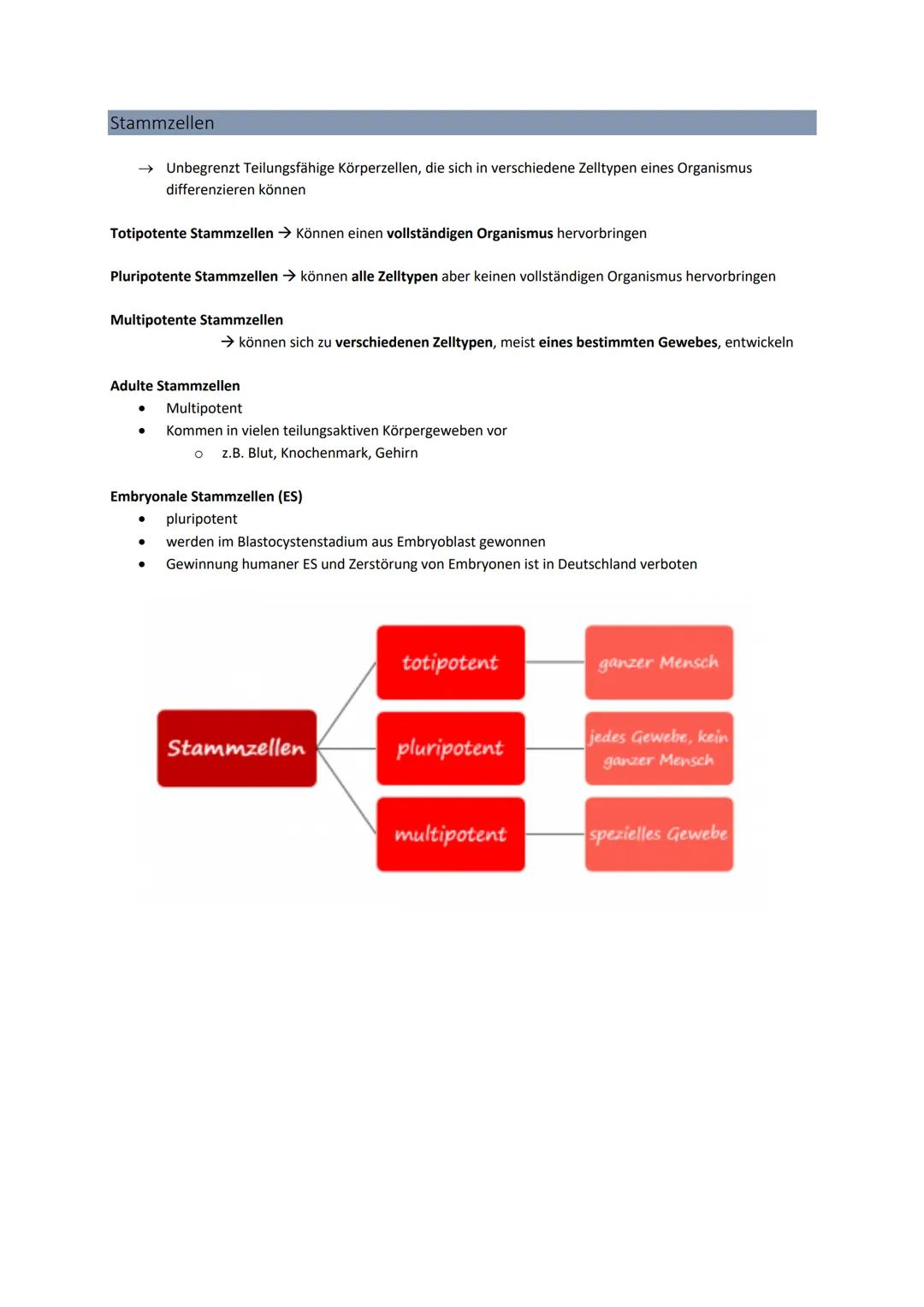 3' 5'
Genetik
Von der DNA zum Protein
Aufbau + Replikation der DNA
Watson - Crick - Modell
●
●
●
DNA → Desoxyribonukleinsäure
●
●
●
DNA-Stru