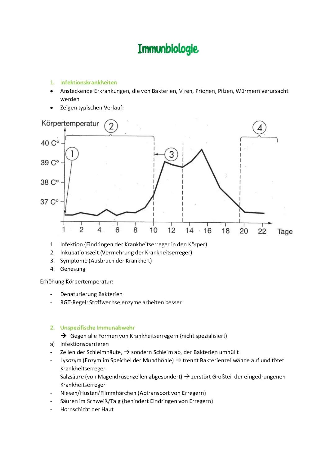 Verstehe das Immunsystem und Infektionskrankheiten: Immunzellen und ihre Aufgaben