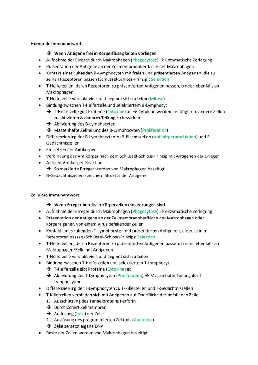1. Infektionskrankheiten
Ansteckende Erkrankungen, die von Bakterien, Viren, Prionen, Pilzen, Würmern verursacht
werden
Zeigen typischen Ver