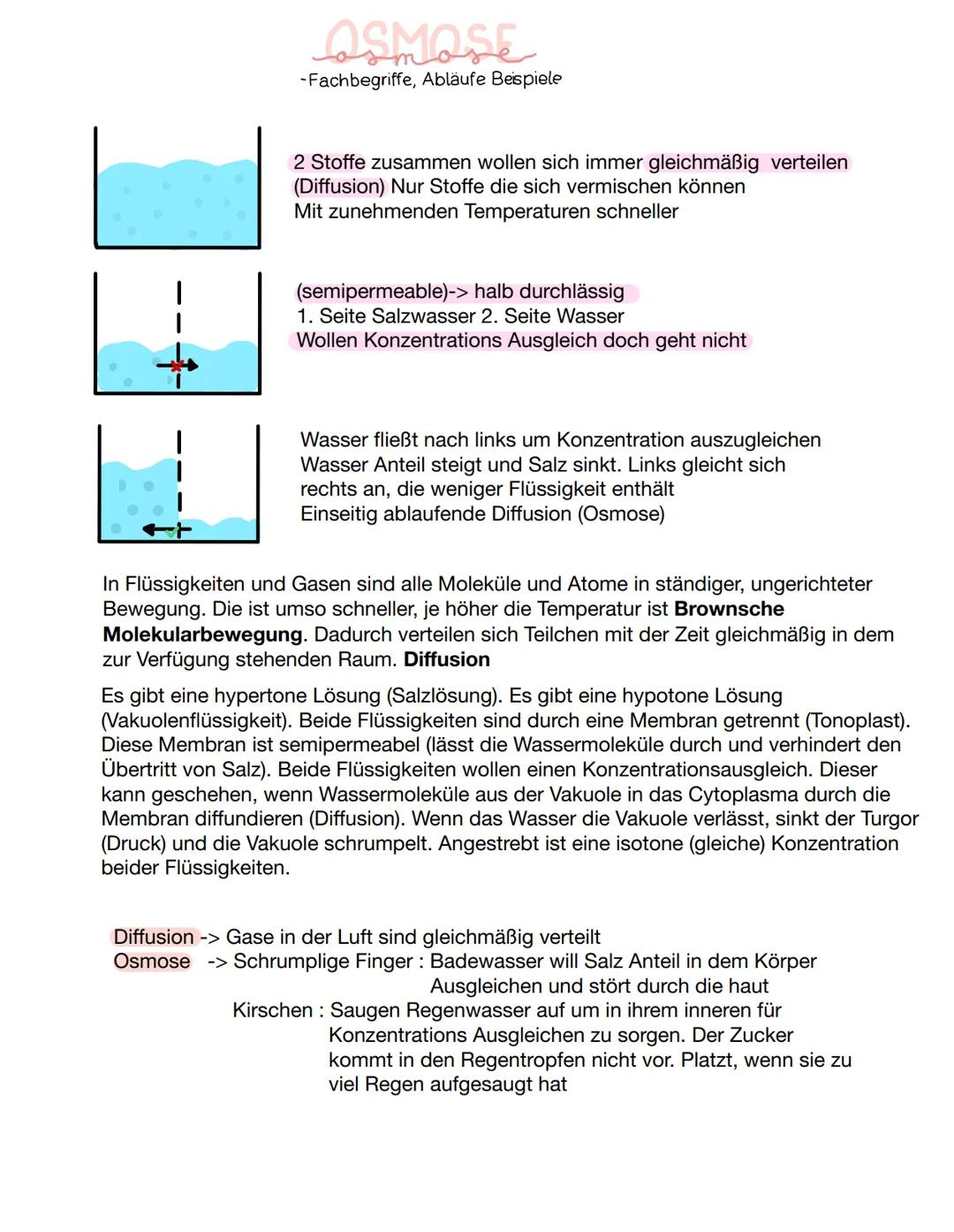 VERGLEICH
-tierische und pflanzliche Zelle im Vergleich-
D
Pflanzliche Zelle
H₂0
UND:
Fett
Zellwand
Proteine
Kohlenhydrate
Zellmembran.
Lyso