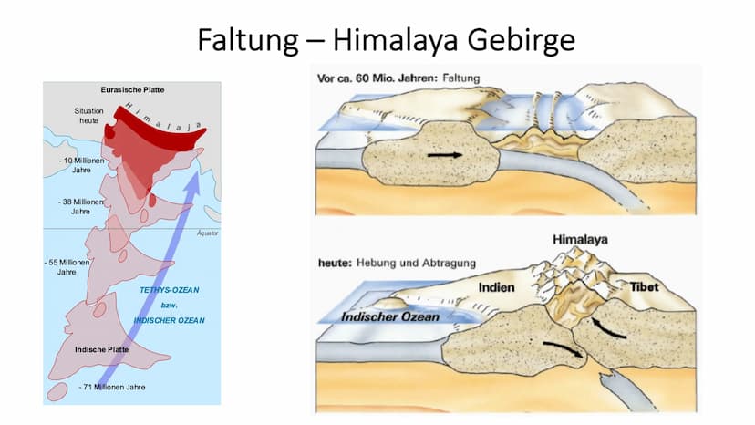 heute
amerika
Kreide
vor 145-65 Mio.
Jahren
Jura
vor 200-145 Mio.
Jahren
Nord-
Trias
vor 251-200 Mio.
Jahren
Süd-
amerika
Nord-
amerika
Süd-