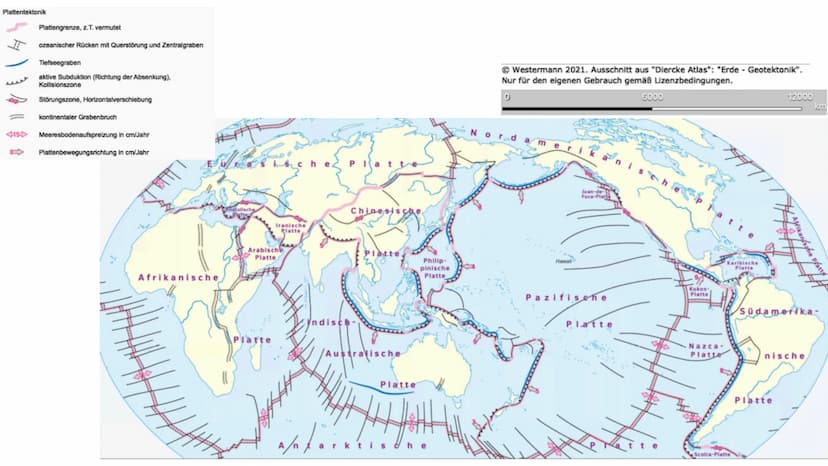 heute
amerika
Kreide
vor 145-65 Mio.
Jahren
Jura
vor 200-145 Mio.
Jahren
Nord-
Trias
vor 251-200 Mio.
Jahren
Süd-
amerika
Nord-
amerika
Süd-