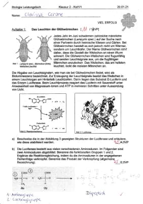 Know Enzymatik  thumbnail