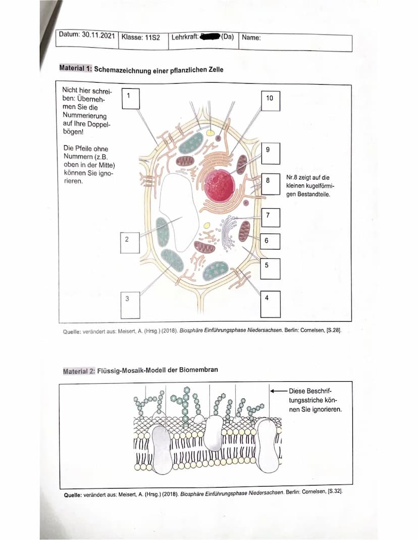 BIOLOGIE-KLAUSUR NR. 1; Themenbereich: Cytologie
(Da) Name:
Datum: 30.11.2021 Klasse: 11S2
Es wurden 42,5 Punkte von 48
13 Punkte
Lehrkraft: