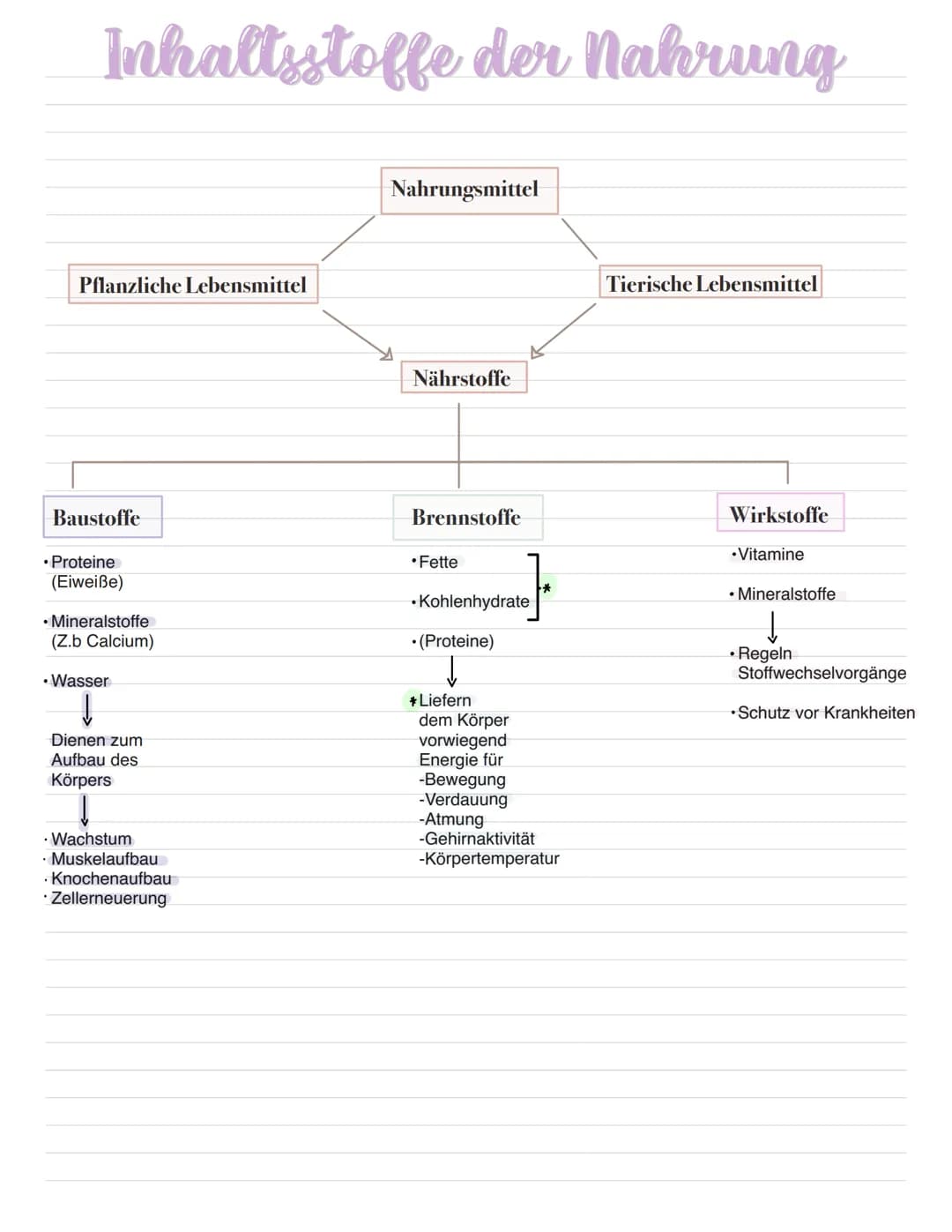 Inhaltsstoffe der Nahrung
Pflanzliche Lebensmittel
Baustoffe
• Proteine
(Eiweiße)
• Mineralstoffe
(Z.b Calcium)
• Wasser
↓
Dienen zum
Aufbau