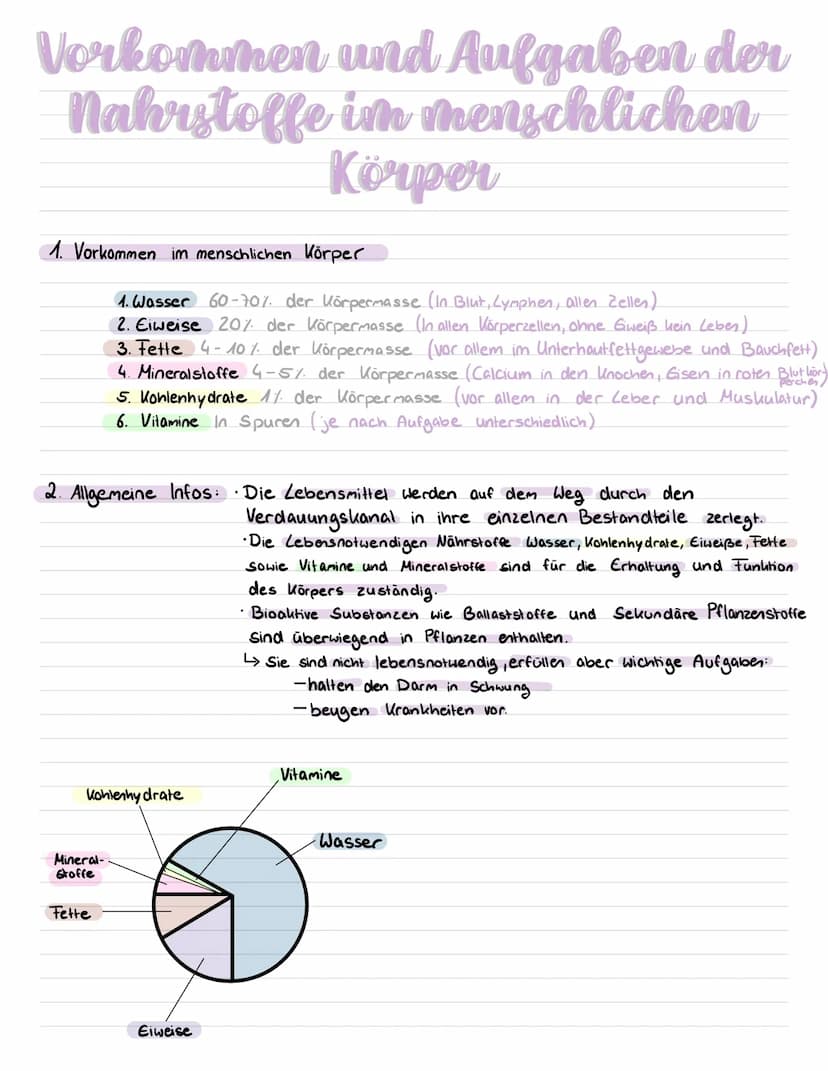 Inhaltsstoffe der Nahrung
Pflanzliche Lebensmittel
Baustoffe
• Proteine
(Eiweiße)
• Mineralstoffe
(Z.b Calcium)
• Wasser
↓
Dienen zum
Aufbau