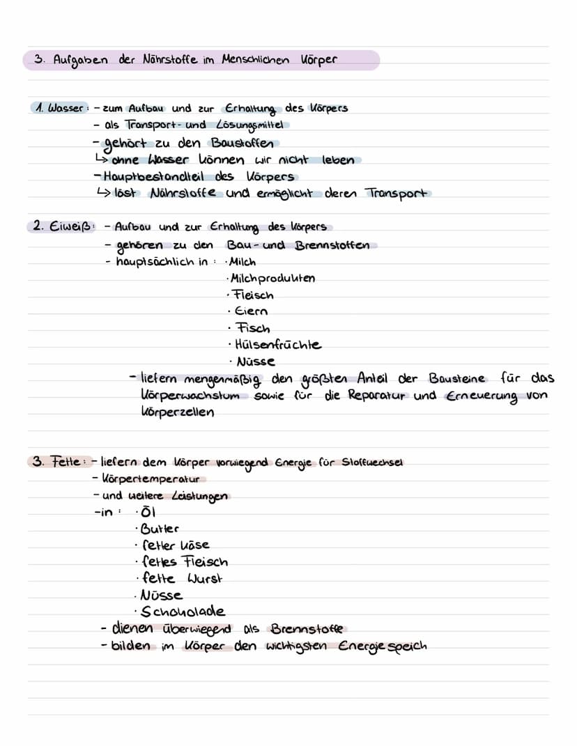 Inhaltsstoffe der Nahrung
Pflanzliche Lebensmittel
Baustoffe
• Proteine
(Eiweiße)
• Mineralstoffe
(Z.b Calcium)
• Wasser
↓
Dienen zum
Aufbau