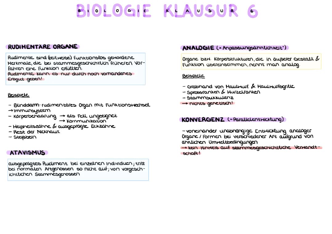 Hormonsystem & Evolution