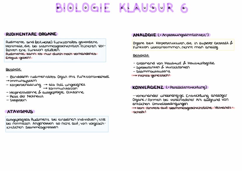 BELEGE FÜR DIE EVOLUTIONSTHEORIE
a) HOMOLOGIE ( Bauplanähnlichkeit") aufgrund Verwandt-
schaft
Homologe Organe/Strukturen sind Organc mit gl