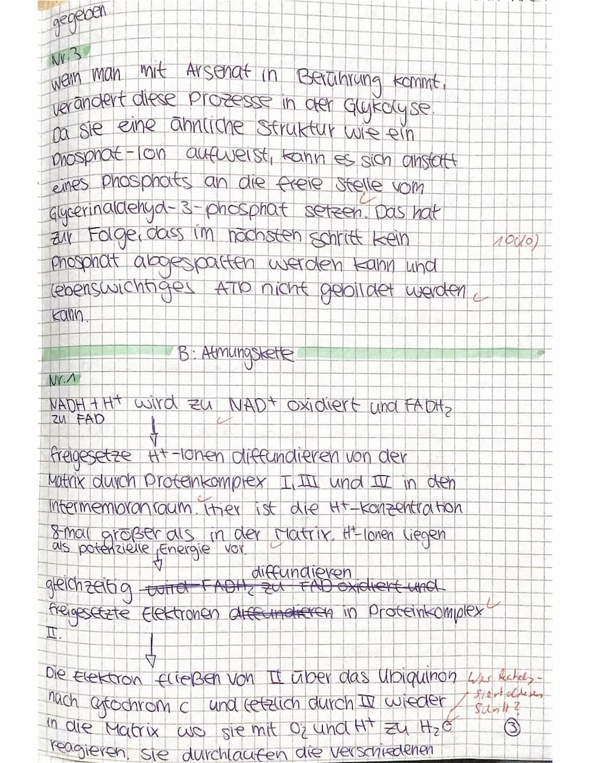 1. Klausur Biologie GK Q1, 135 Minuten,
M1: Atmungskette (A) und Zyankali (B)
A:
Intermembranraum
Innen-
membran
Proteinkomplex I
NADH+H NAD