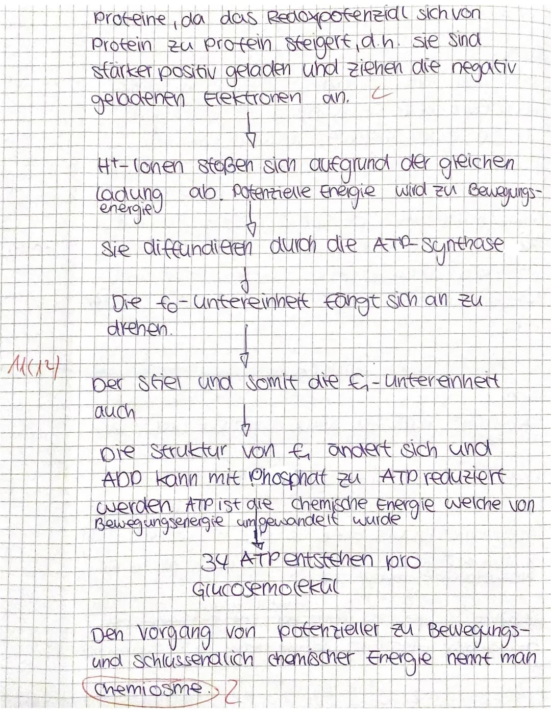 1. Klausur Biologie GK Q1, 135 Minuten,
M1: Atmungskette (A) und Zyankali (B)
A:
Intermembranraum
Innen-
membran
Proteinkomplex I
NADH+H NAD