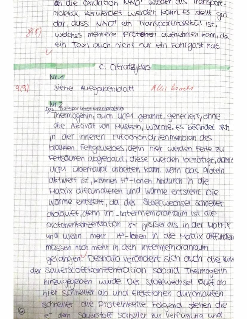 1. Klausur Biologie GK Q1, 135 Minuten,
M1: Atmungskette (A) und Zyankali (B)
A:
Intermembranraum
Innen-
membran
Proteinkomplex I
NADH+H NAD