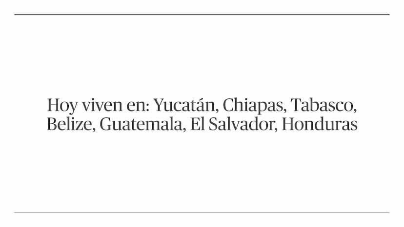 Gran Jefe, el espacio sólo me
alcanzó hasta
2012!!!
Ha! deja eso así,
servirá para
asustar a unos
cuantos en el
futuro
CHEBULTRASCH
@
2% Cla
