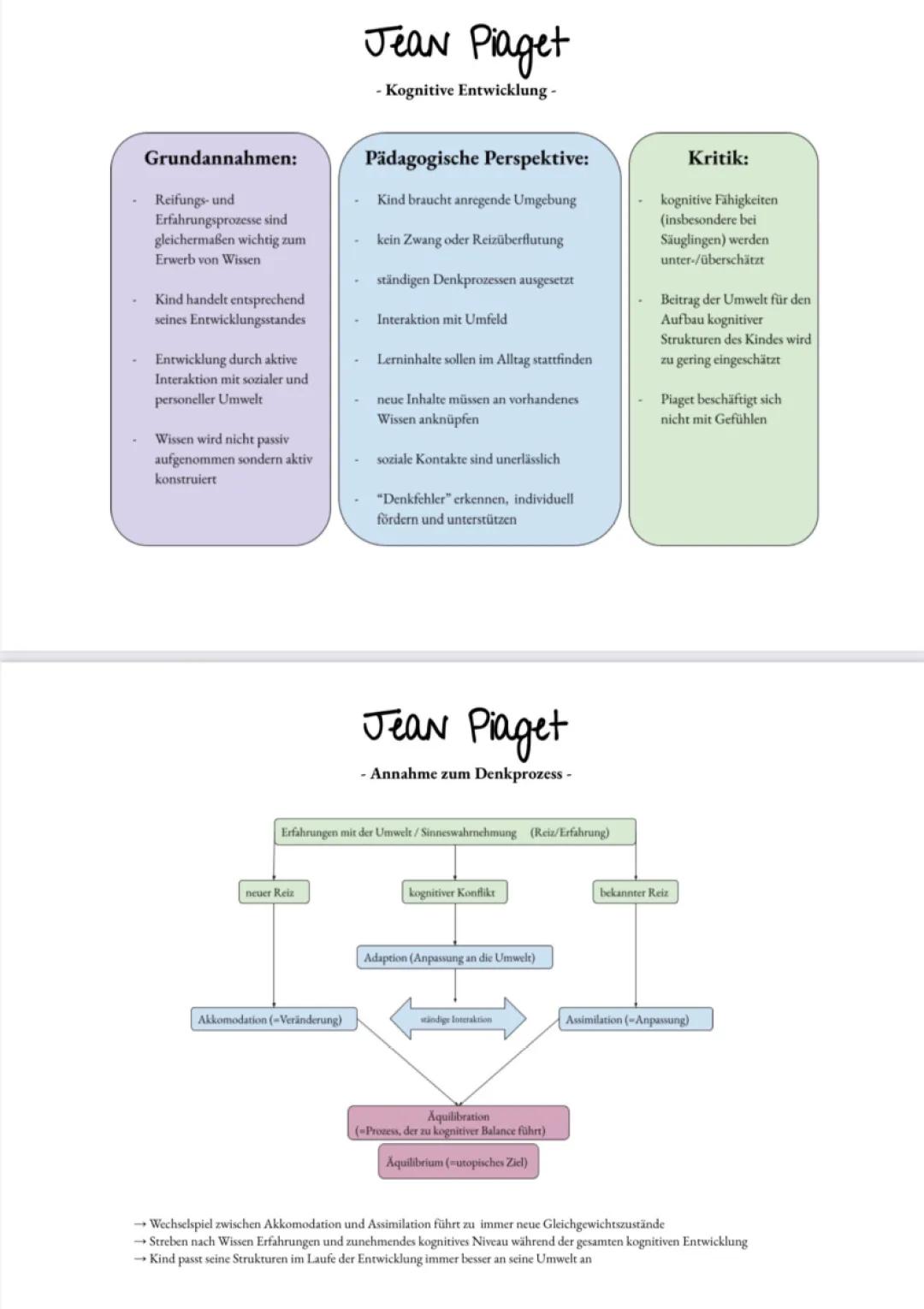 Jean Piaget - kognitive Entwicklung 