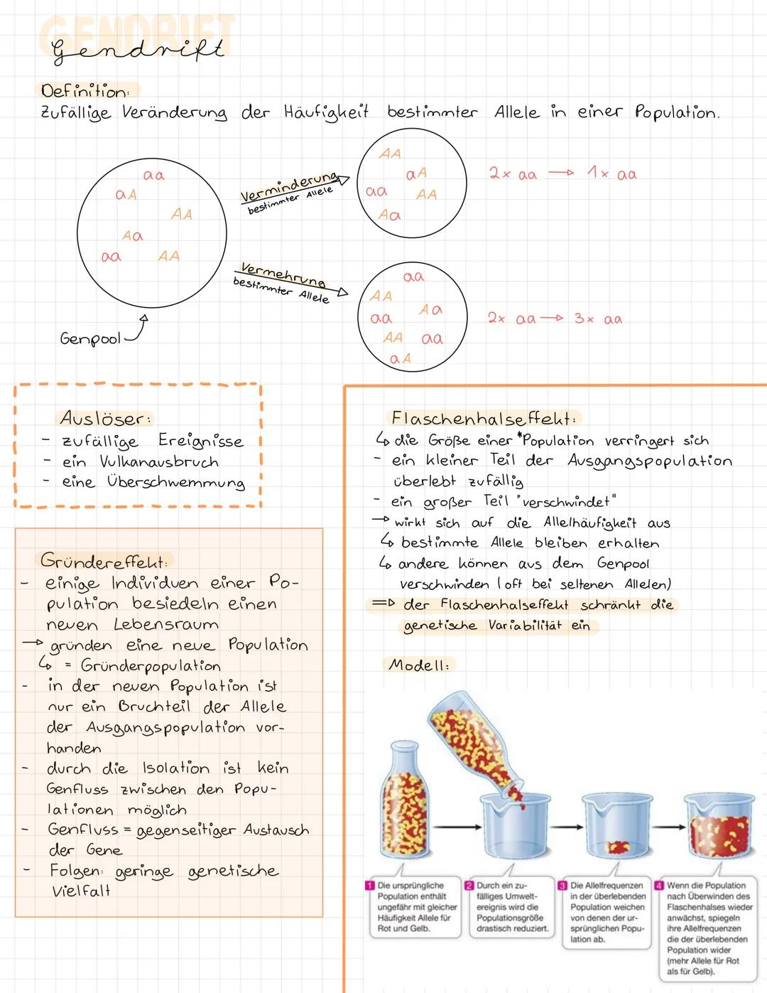 # Gendrift

Definition
Zufällige Veränderung der Häufigkeit bestimmter Allele in einer Population.

AA
aa
CA
AA
Verminderung
bestimmter Alle