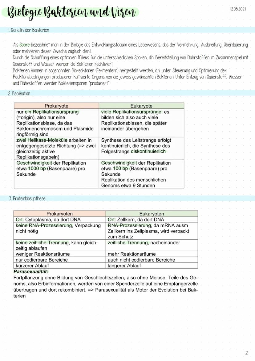 Biologic Bakterien und Viren
1. Genetik der Bakterien
Allgemeines
-Vermehrung durch Teilung (,,aus ein mach zwei"), exponentielles
Wachstum
