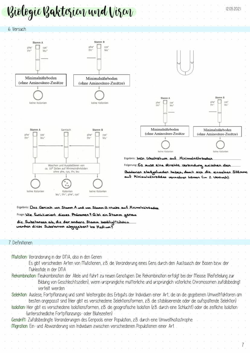 Biologic Bakterien und Viren
1. Genetik der Bakterien
Allgemeines
-Vermehrung durch Teilung (,,aus ein mach zwei"), exponentielles
Wachstum
