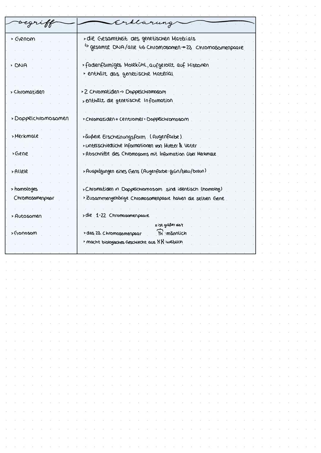 # GENETISCHES

# MATERIAL

Doppelchromosom

Einzelnes Chromosom: w
Wichtige Begriffe

Chromatiden
-kurzer Arm
Centromer
-Langer Arm

Die Chr