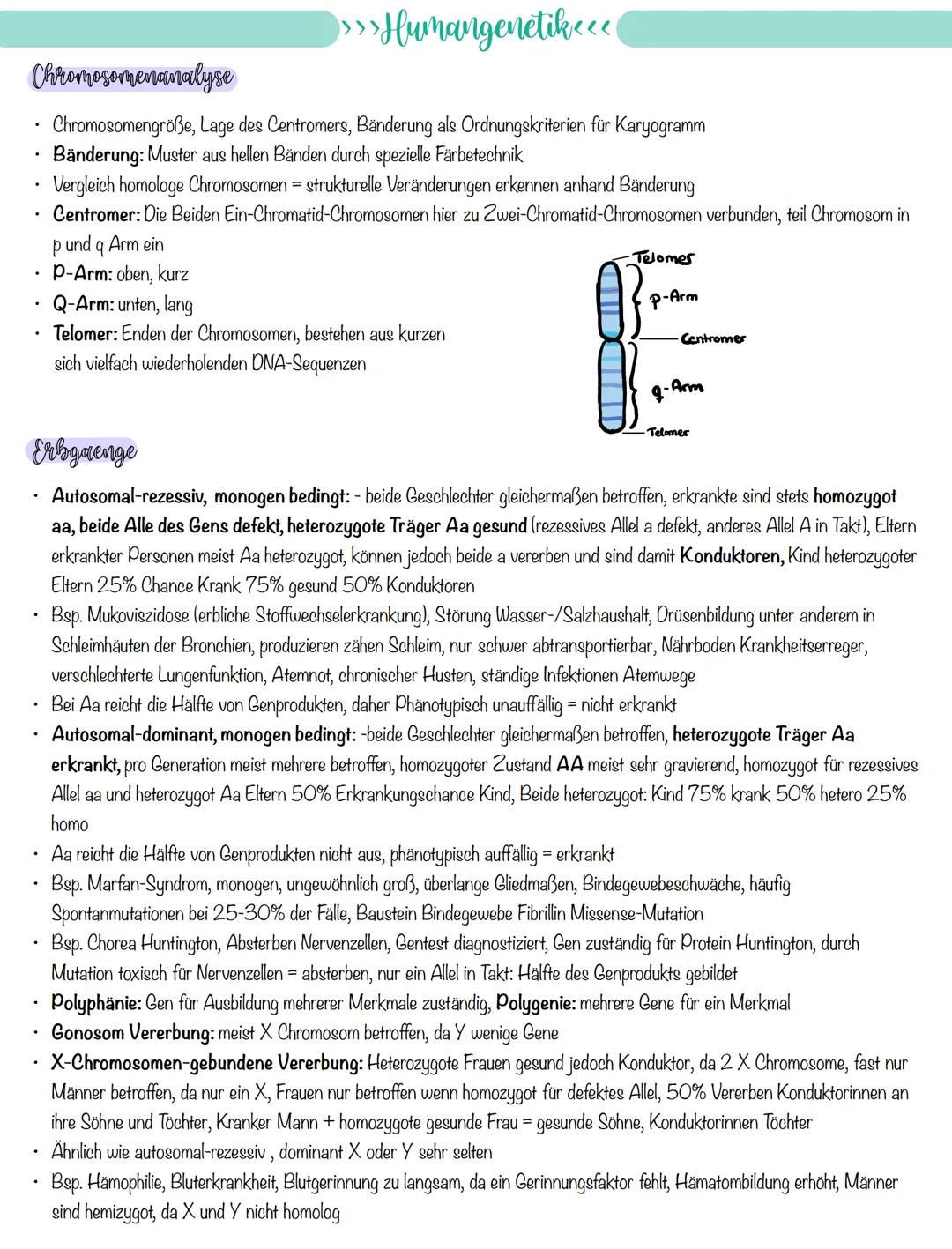 
<p>If you need a comprehensive summary of genetics in biology, you can download a helpful PDF document on "genetik biologie klasse 10 zusam