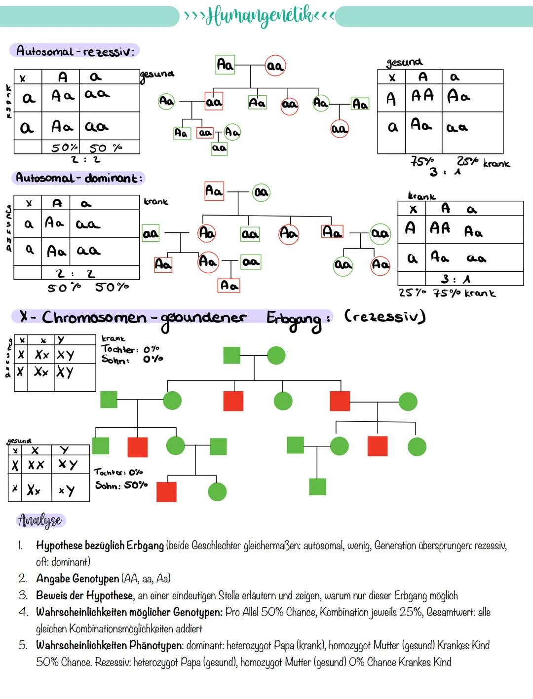 
<p>If you need a comprehensive summary of genetics in biology, you can download a helpful PDF document on "genetik biologie klasse 10 zusam