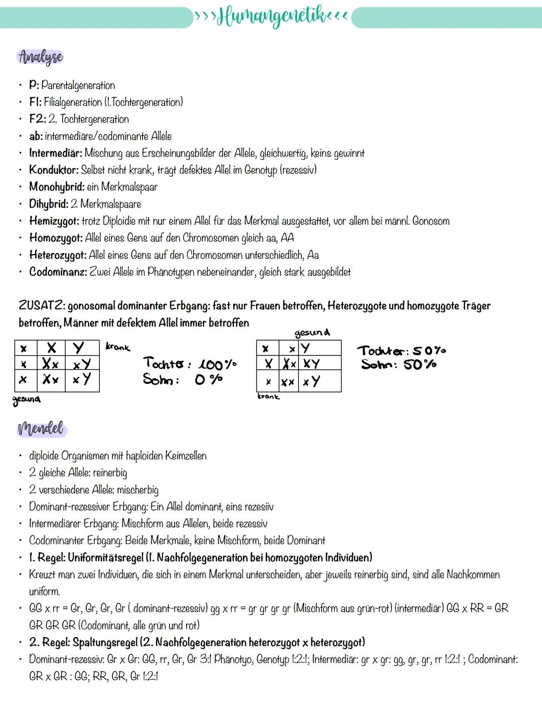 
<p>If you need a comprehensive summary of genetics in biology, you can download a helpful PDF document on "genetik biologie klasse 10 zusam