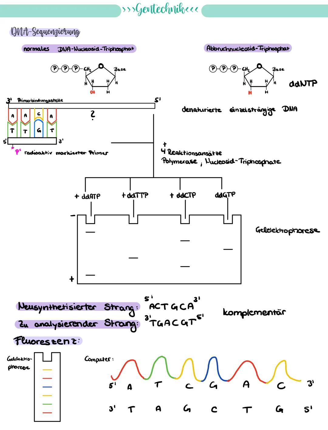 
<p>If you need a comprehensive summary of genetics in biology, you can download a helpful PDF document on "genetik biologie klasse 10 zusam