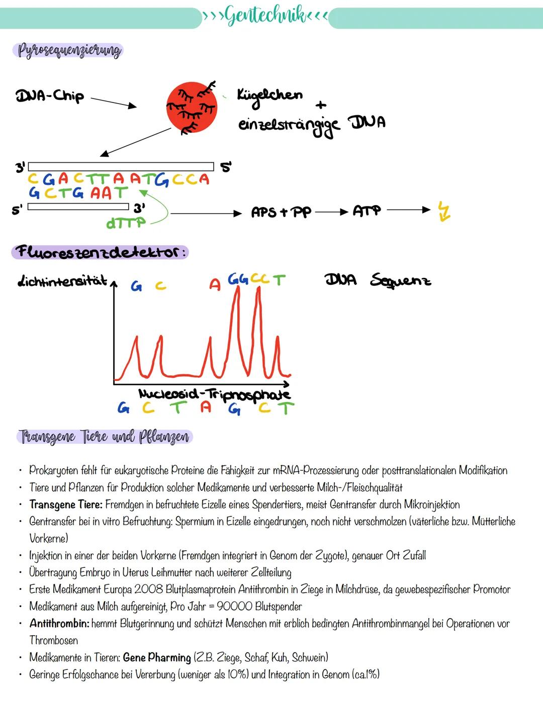 
<p>If you need a comprehensive summary of genetics in biology, you can download a helpful PDF document on "genetik biologie klasse 10 zusam