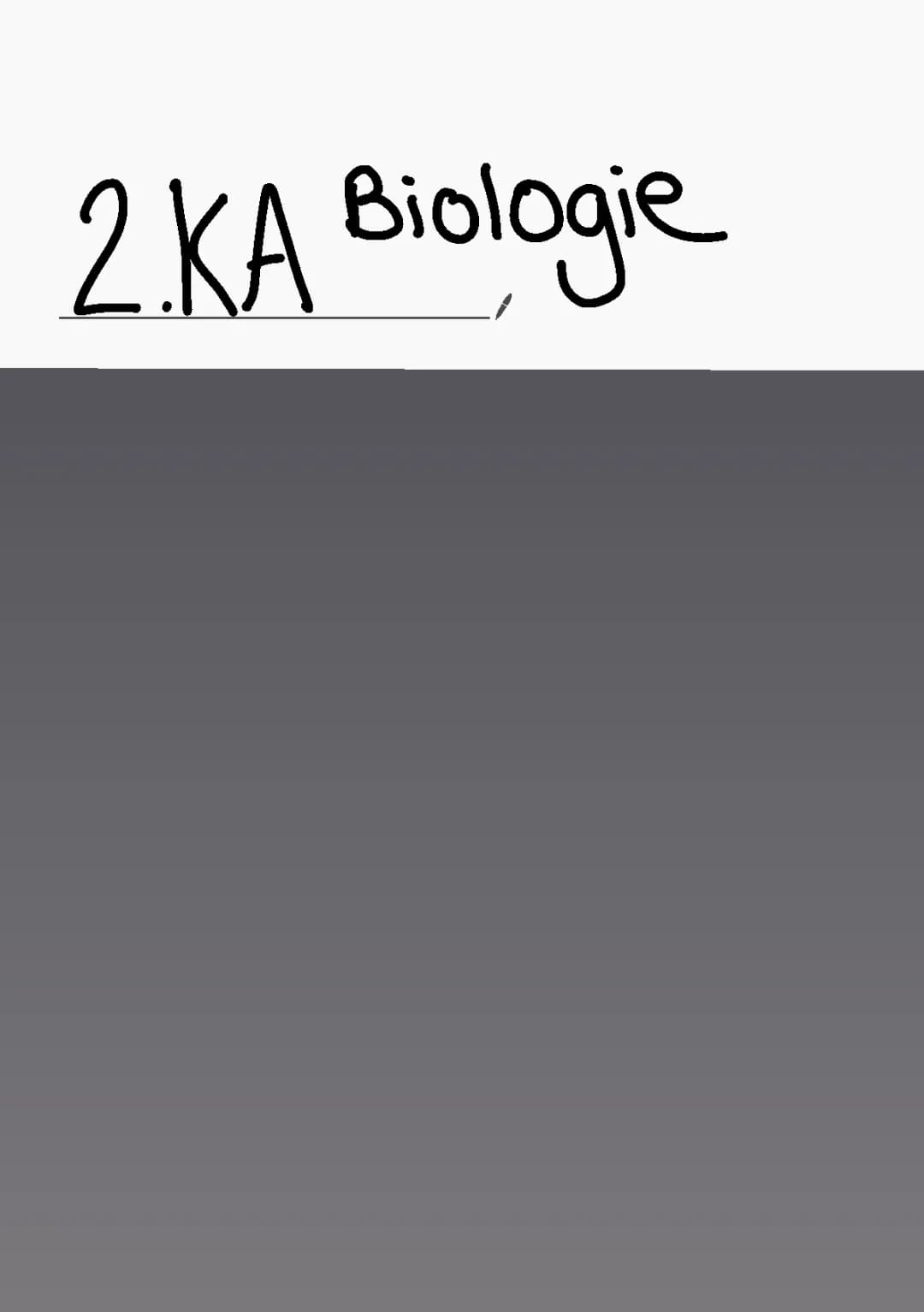 Enzyme und Genetik (DNA-Replikation, Transkription, Translation, Mutation, Gene)