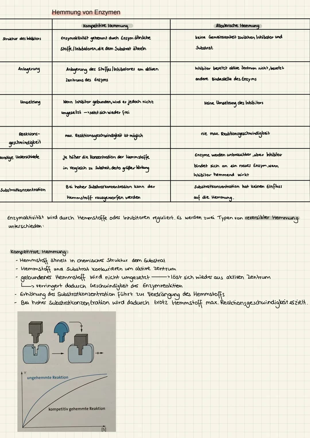 2.KA Biologie Themen
1. Enzyme:
2. Genektik:
✓
V
Katalysator ✓
Struktur
Funktion
Hemmung
V
Enzym regulation ✓
2. KA Biologie
Aufbau der ONA
