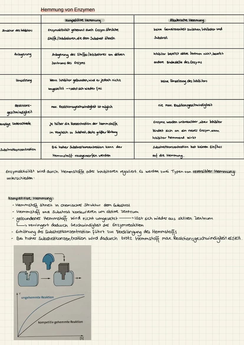 2.KA Biologie Themen
1. Enzyme:
2. Genektik:
✓
V
Katalysator ✓
Struktur
Funktion
Hemmung
V
Enzym regulation ✓
2. KA Biologie
Aufbau der ONA
