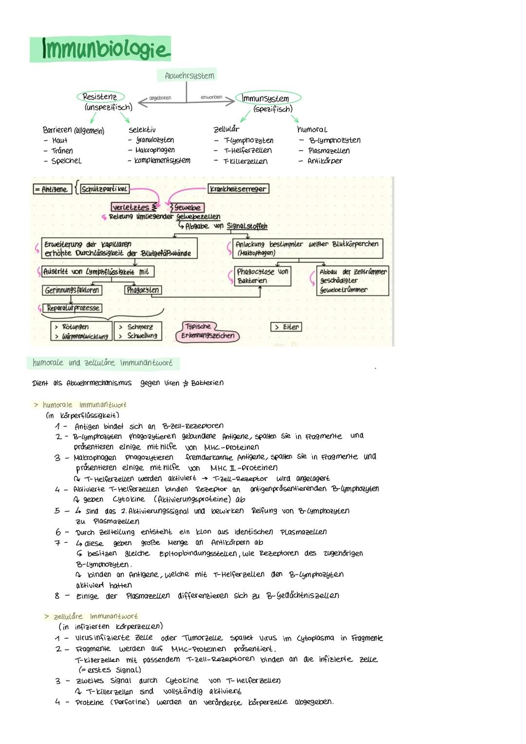 # Immunbiologie

Resistenz
Abwehrsystem
(unspezifisch) angeboren erworben Immunsystem
(spezifisch)
Barrieren (allgemein) Selektiv Zellular h