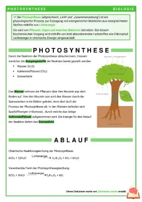 Know Die Photosynthese thumbnail