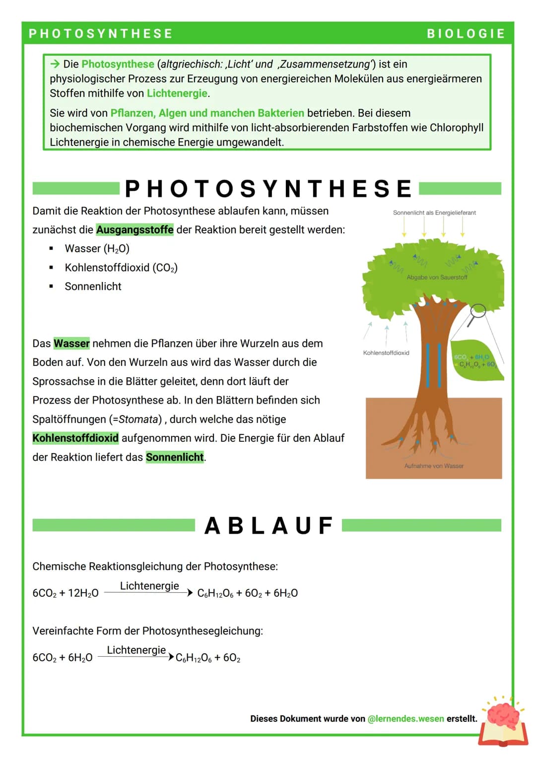 PHOTOSYNTHESE
→ Die Photosynthese (altgriechisch: ,Licht' und ‚Zusammensetzung') ist ein
physiologischer Prozess zur Erzeugung von energiere
