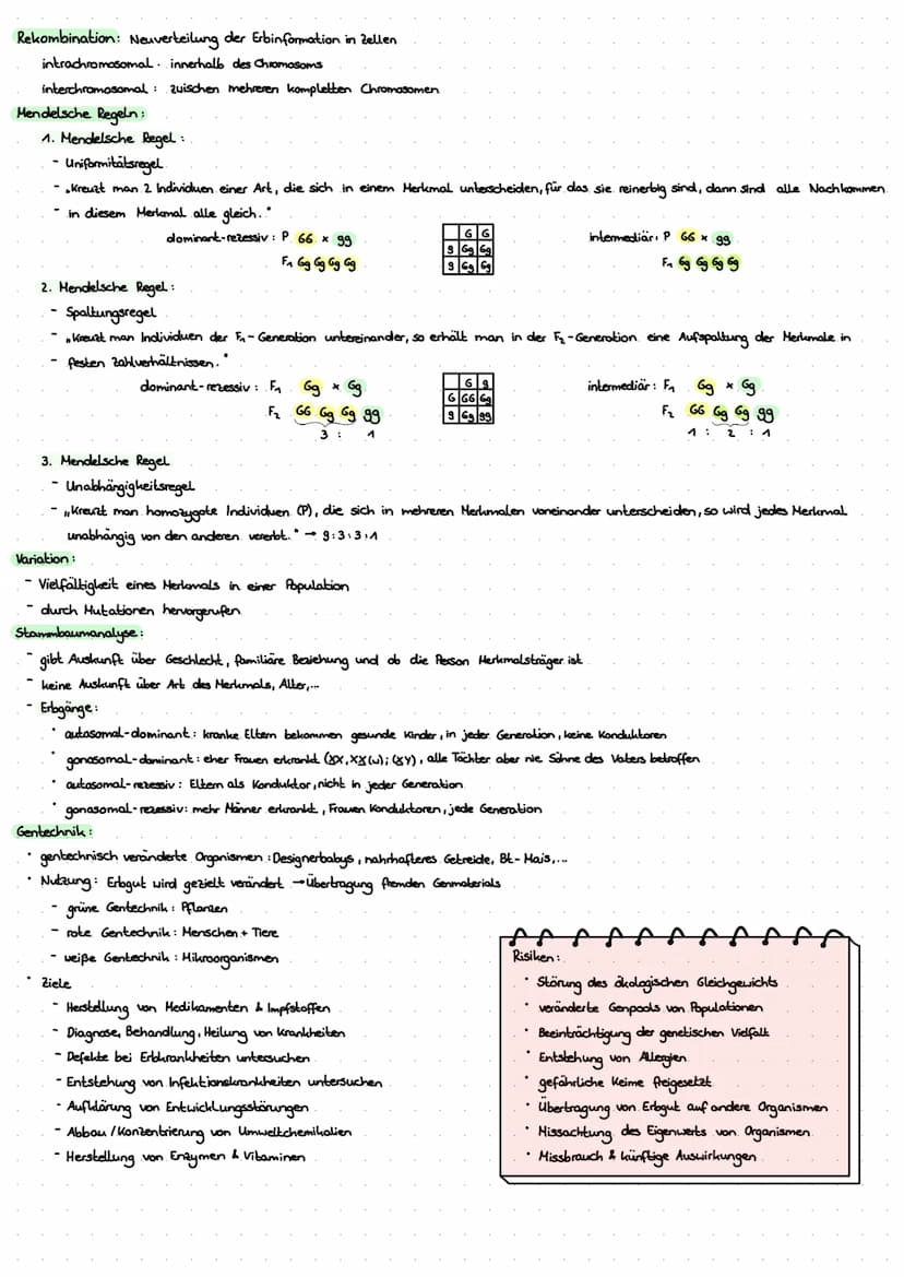 LERNZETTEL BIOLOGIE
Zytologie
Eukaryoten
Zellwand
-Zellmembron
Cytosol
+Mitochondrium.
Chloroplasten
•Golgi-Apparat-
glattes ER
roues ER
Nuk