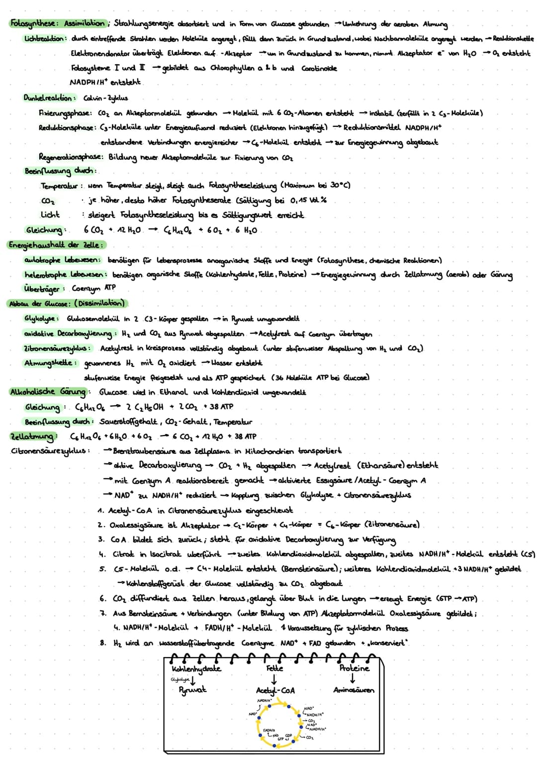 LERNZETTEL BIOLOGIE
Zytologie
Eukaryoten
Zellwand
-Zellmembron
Cytosol
+Mitochondrium.
Chloroplasten
•Golgi-Apparat-
glattes ER
roues ER
Nuk