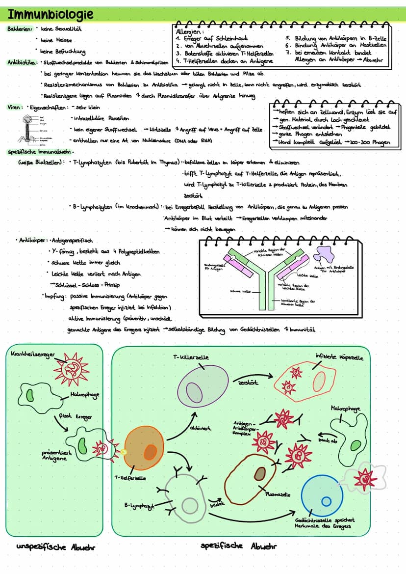 LERNZETTEL BIOLOGIE
Zytologie
Eukaryoten
Zellwand
-Zellmembron
Cytosol
+Mitochondrium.
Chloroplasten
•Golgi-Apparat-
glattes ER
roues ER
Nuk