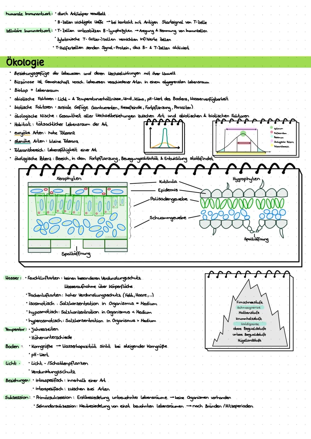 LERNZETTEL BIOLOGIE
Zytologie
Eukaryoten
Zellwand
-Zellmembron
Cytosol
+Mitochondrium.
Chloroplasten
•Golgi-Apparat-
glattes ER
roues ER
Nuk