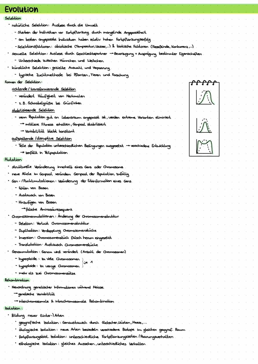 LERNZETTEL BIOLOGIE
Zytologie
Eukaryoten
Zellwand
-Zellmembron
Cytosol
+Mitochondrium.
Chloroplasten
•Golgi-Apparat-
glattes ER
roues ER
Nuk
