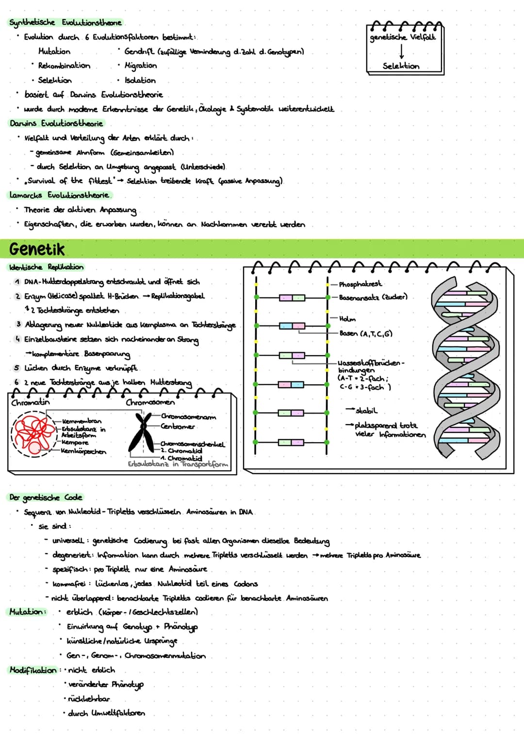 LERNZETTEL BIOLOGIE
Zytologie
Eukaryoten
Zellwand
-Zellmembron
Cytosol
+Mitochondrium.
Chloroplasten
•Golgi-Apparat-
glattes ER
roues ER
Nuk