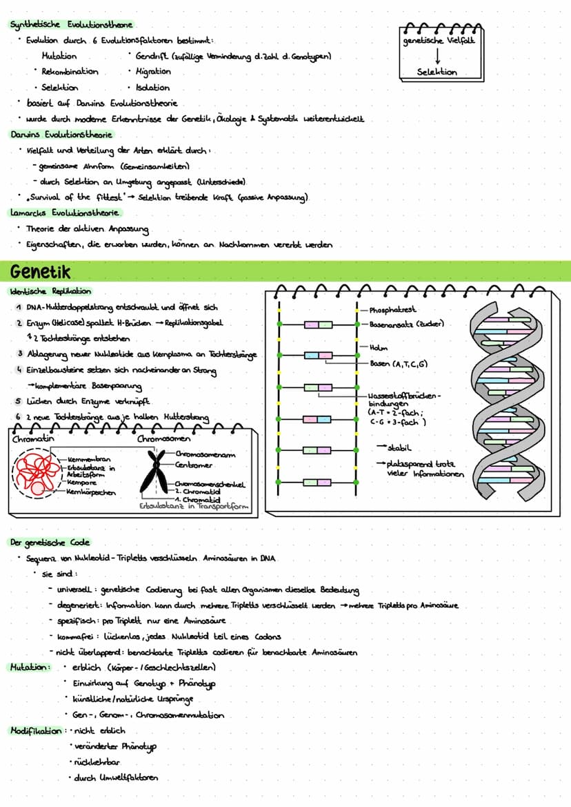 LERNZETTEL BIOLOGIE
Zytologie
Eukaryoten
Zellwand
-Zellmembron
Cytosol
+Mitochondrium.
Chloroplasten
•Golgi-Apparat-
glattes ER
roues ER
Nuk