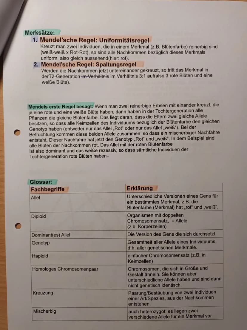 Nawi Lernzettel für die Arbeit am 05.03.2021:
Checkliste
1. Karyogramme und Chromosomensatz
- Aufbau von Chromosomen
- Chromosomensatz bei M