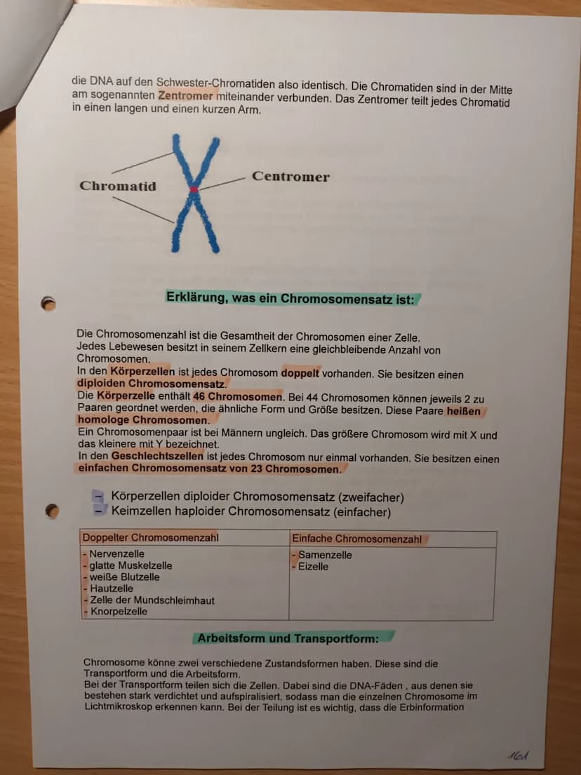Nawi Lernzettel für die Arbeit am 05.03.2021:
Checkliste
1. Karyogramme und Chromosomensatz
- Aufbau von Chromosomen
- Chromosomensatz bei M