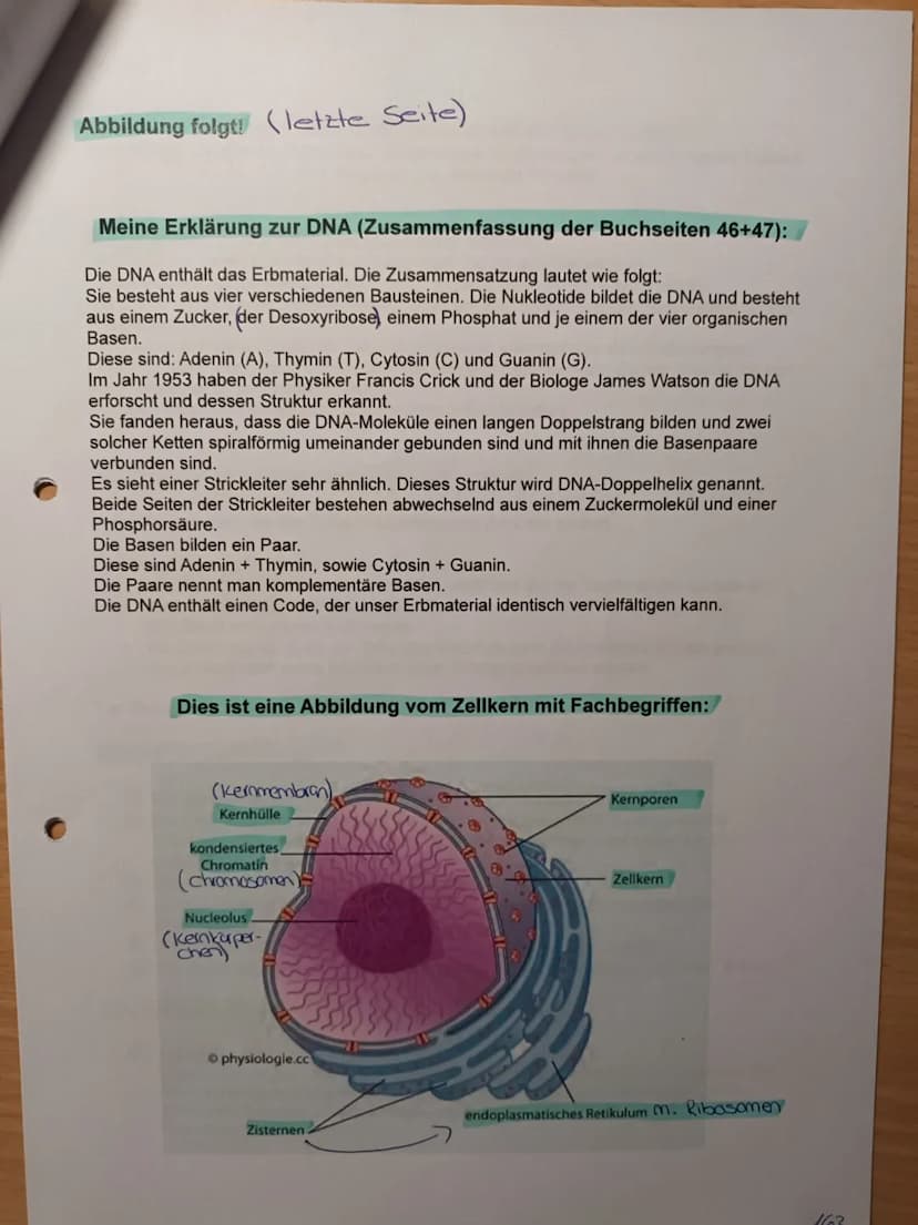 Nawi Lernzettel für die Arbeit am 05.03.2021:
Checkliste
1. Karyogramme und Chromosomensatz
- Aufbau von Chromosomen
- Chromosomensatz bei M