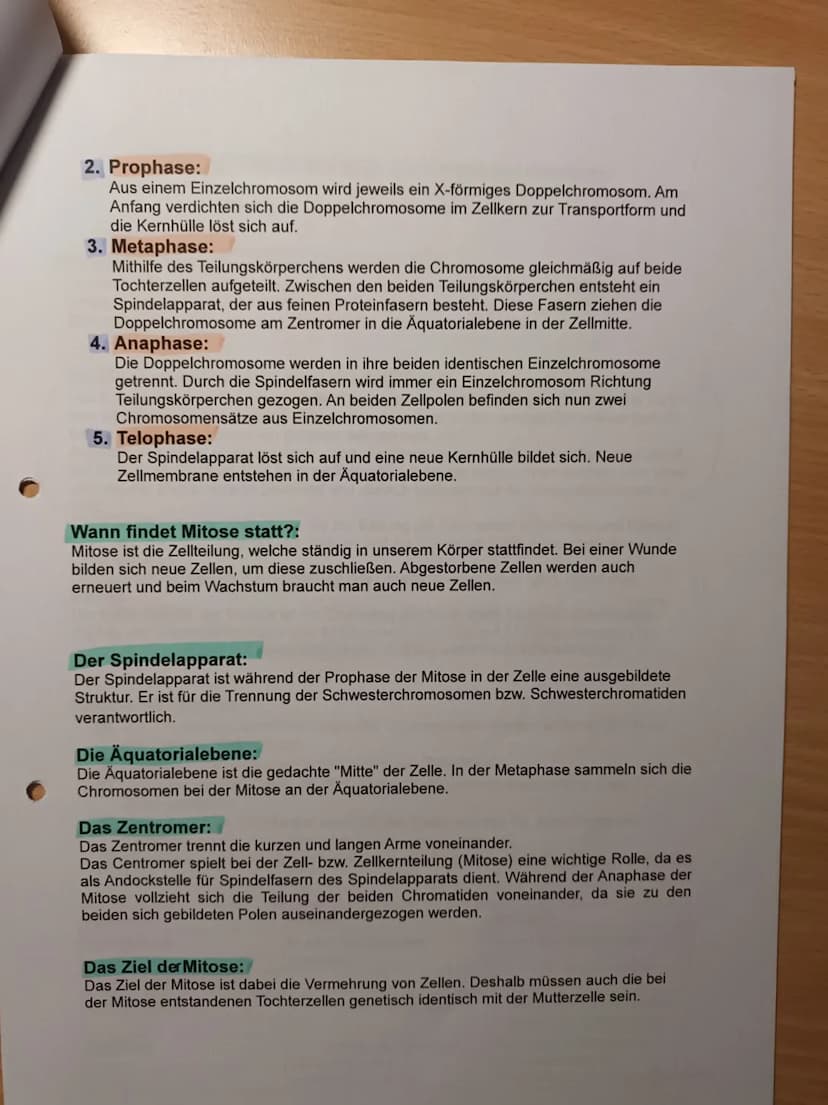 Nawi Lernzettel für die Arbeit am 05.03.2021:
Checkliste
1. Karyogramme und Chromosomensatz
- Aufbau von Chromosomen
- Chromosomensatz bei M