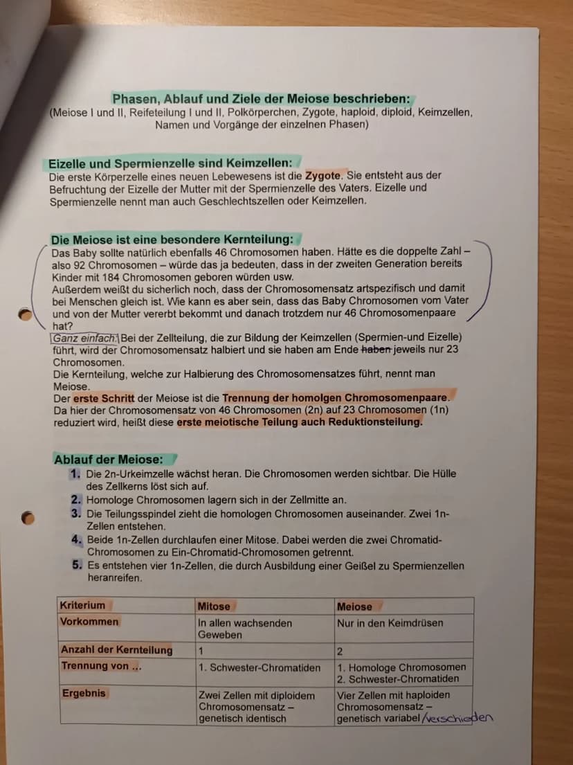 Nawi Lernzettel für die Arbeit am 05.03.2021:
Checkliste
1. Karyogramme und Chromosomensatz
- Aufbau von Chromosomen
- Chromosomensatz bei M