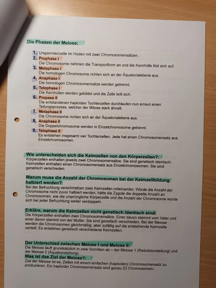 Nawi Lernzettel für die Arbeit am 05.03.2021:
Checkliste
1. Karyogramme und Chromosomensatz
- Aufbau von Chromosomen
- Chromosomensatz bei M